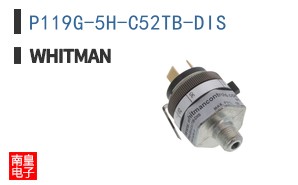 P119G-5H-C52TB-DIS ͼƬ